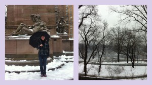Central Park collage