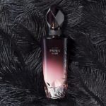 Introducing PRIMA NOIR Eau de Parfum – Strong. Mysterious. Graceful