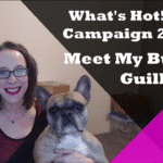 What’s Hot!? Campaign 26, 2017 – Meet My Frenchie Guillermo!