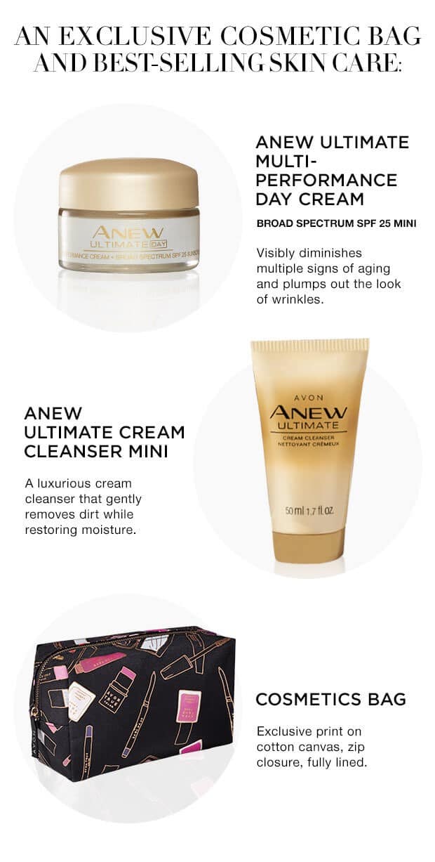 Exclusive Avon Cosmetics Bag - A Box - An Exclusive Cosmetic Bag and Best-selling Skin Care: Anew Ultimate Multi-Performance Day Cream - Anew Ultimate Cream Cleanser Mini